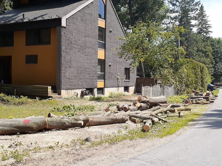 Consternation, rue Saint-Philippe