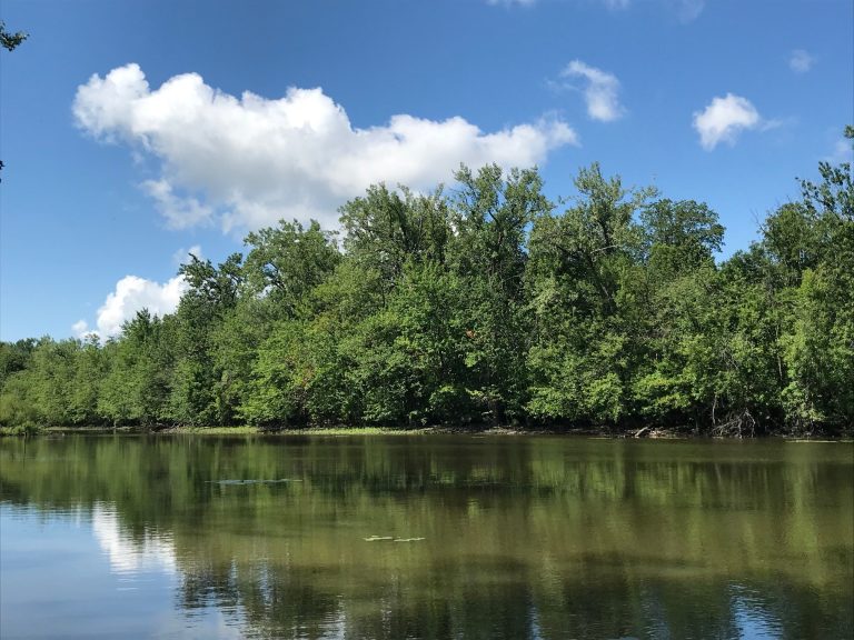 Au tour du PQ de s’opposer au projet de l’île Gagnon