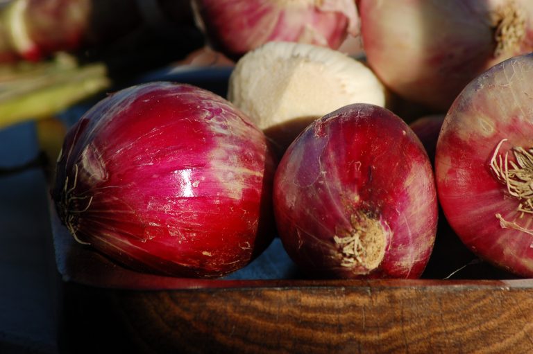 Éclosion de salmonellose liée aux oignons rouges avis de rappel