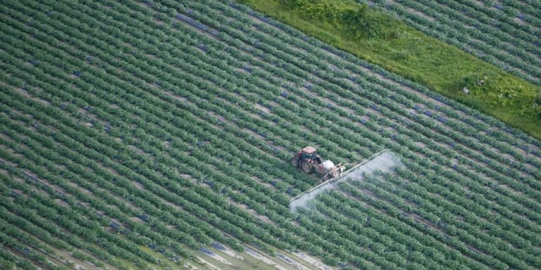 «…1400 habitants fiers d’être dans le champ»