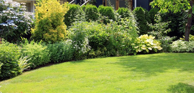 Arrestation d’un adolescent dans Champfleury haie de cèdres arrestation adolescent Champfleury