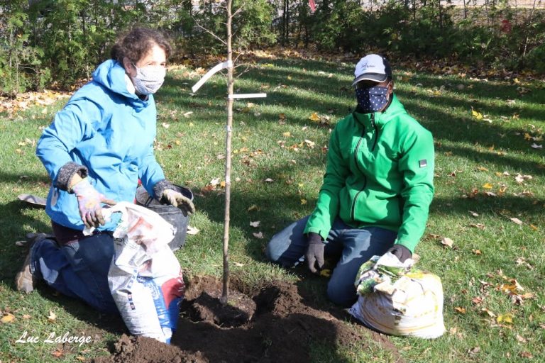 PlantAction Ormes verdissement Sainte-Rose