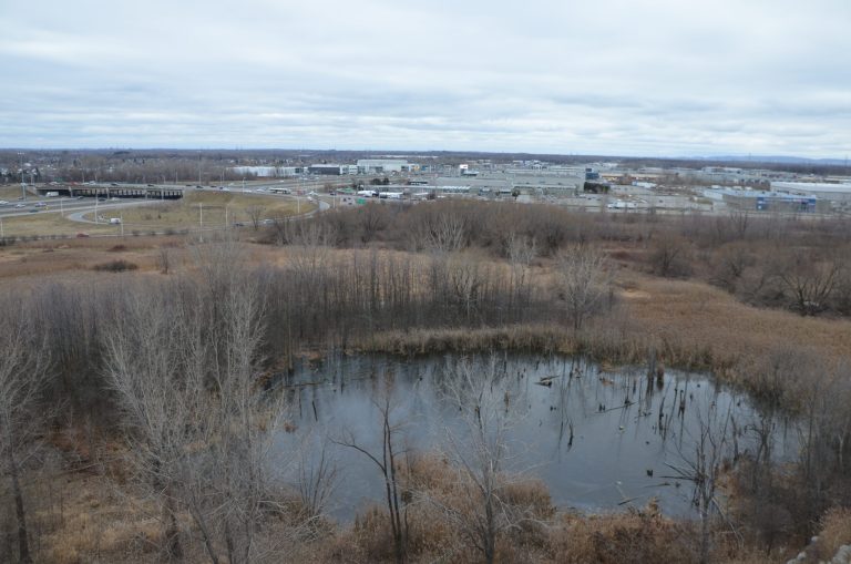 Milieux humides en péril