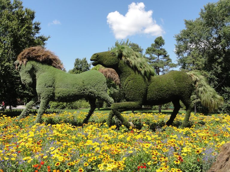 Des mosaïcultures 3D dans le paysage lavallois