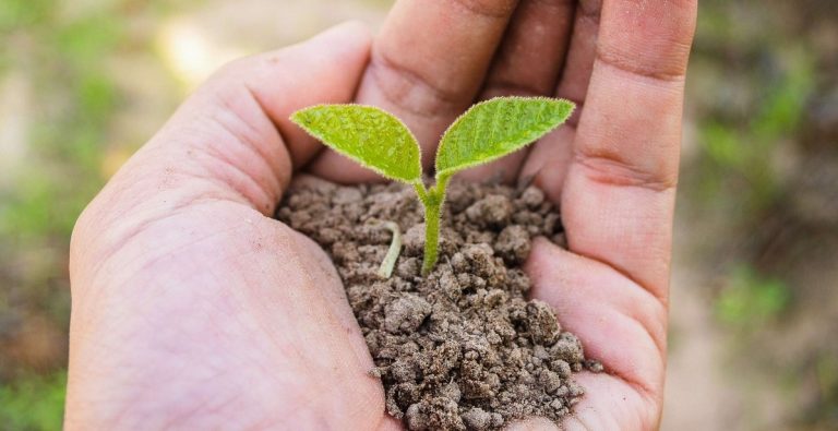 Jour de la Terre: le Grand ramassage annulé