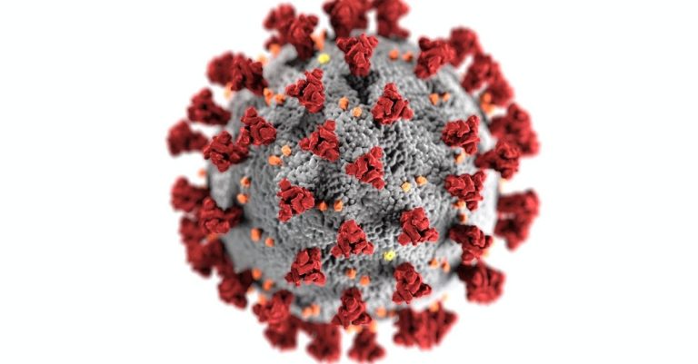 10M$ pour prévenir la propagation des maladies au Canada