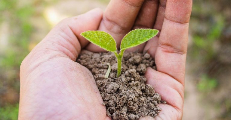 Lancement de la campagne 2021 du Jour de la Terre Jour de la Terre