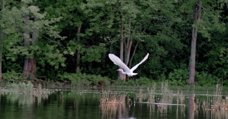 Un élu dénonce un double discours