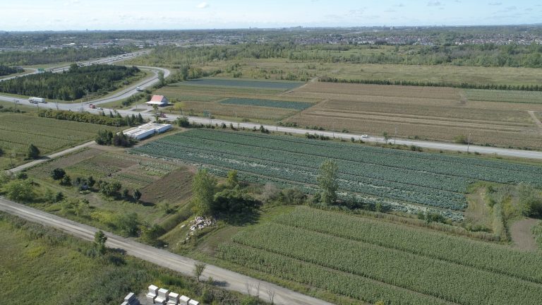 1 125 000$ pour soutenir le secteur agroalimentaire agriculture