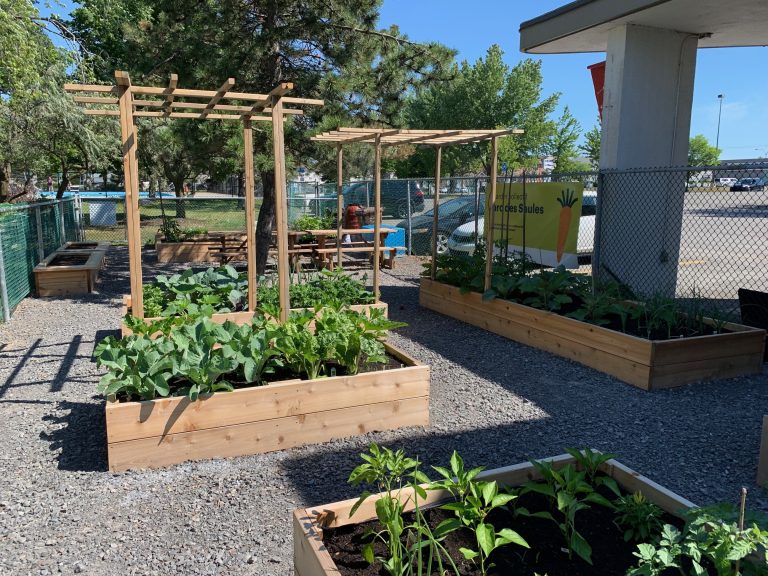 Jardin collectif inauguré dans Auteuil jardin collectif
