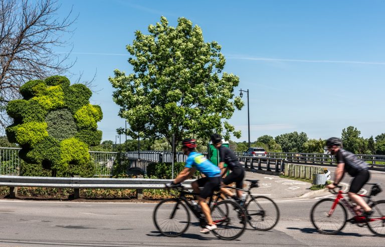 Cinq mosaïcultures 3D à voir cet été mosaïculture