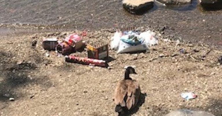 159 appels pour des feux d’artifice en juin