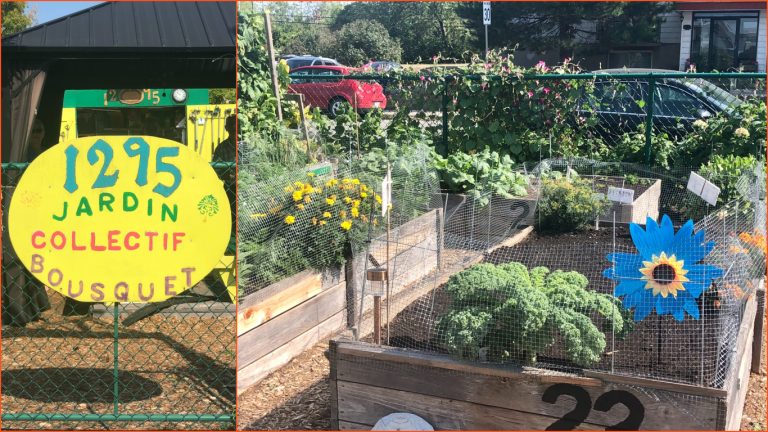 Jardin cherche eau Bousquet