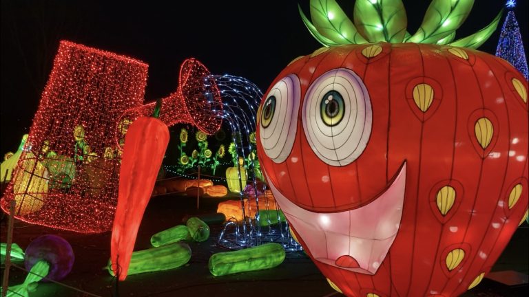 Univers imaginaire pour la troisième année d’Illumi