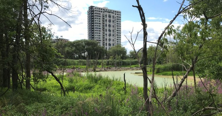 Acquisition de milieux naturels pour 9 M$ milieux naturels