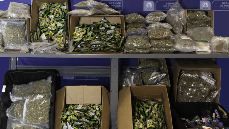La police de Laval saisit plus de 750 000$ en armes et drogues Saisie perquisition police Laval drogue stupéfiants jujube bonbon THC drogue arme