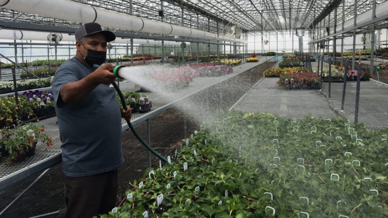 Travailleurs étrangers : plus grande portée pour l’Escouade prévention travailleurs